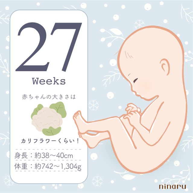 27wのtwitterイラスト検索結果