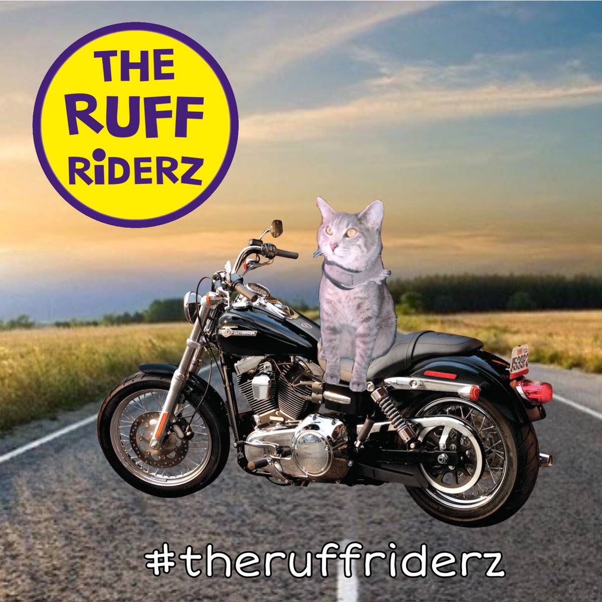 Bella’s Deeds Done Doggone Dirt Cheap tweet media