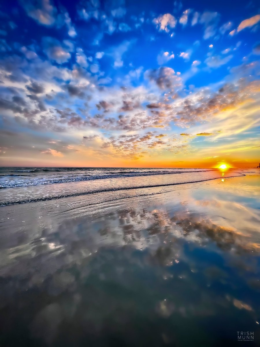 Trish Munn TV tweet media