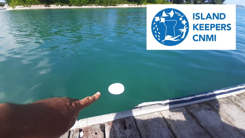 KimagureDiver's tweet photo. @KeepersCNMI Sunday Clean Up ...... i catch big fish(plastic dish)🤣🤣🤣🤣
【 SAIPAN / smiling cove 】
#saipan #pickupgarbage #ゴミ拾い https://t.co/WBSwRquWU9