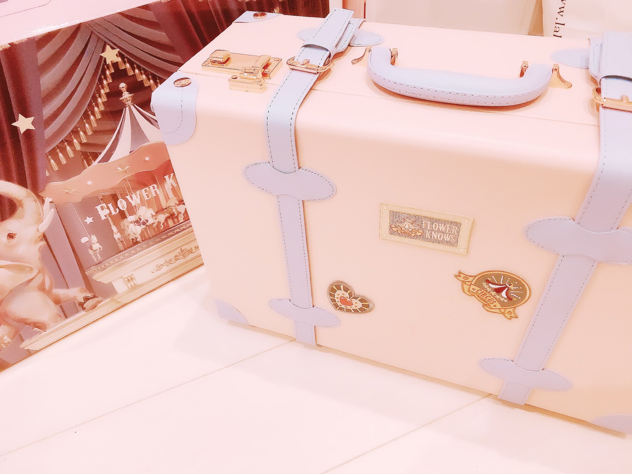 フラワーノーズ サーカス トランクケース