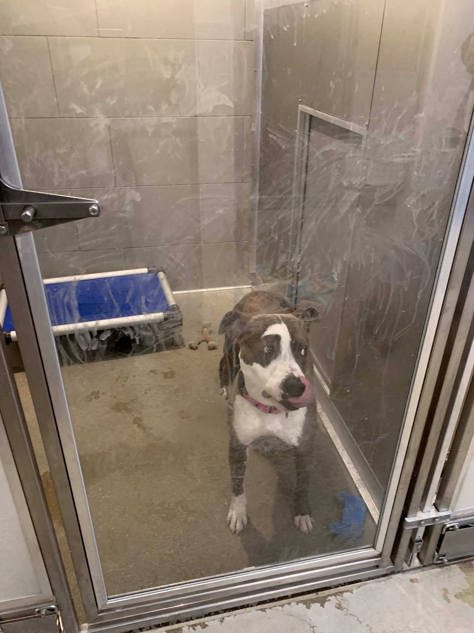 Gina Cooney (gcooney22) / Twitter