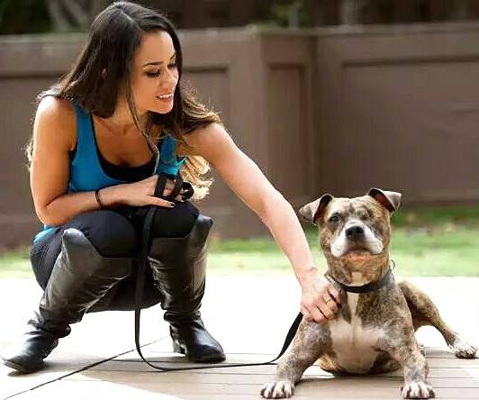 Aj Lee And Cm Punk Biggest Fan (@AjLeeAndCmPunk3) / Twitter