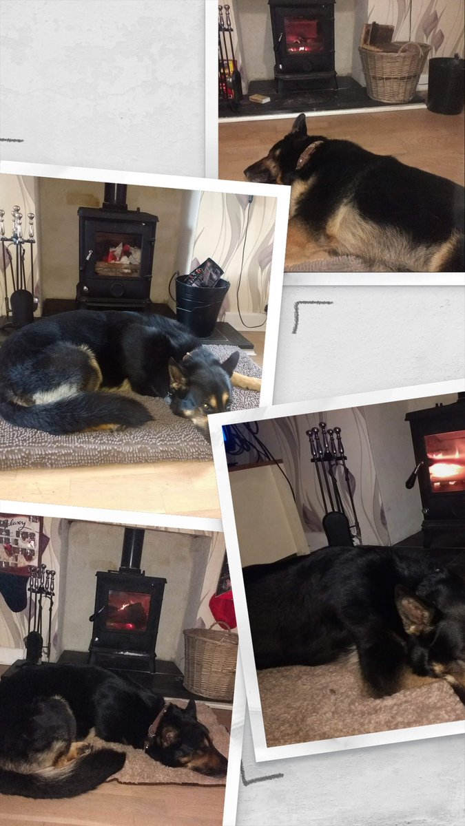 RPD_Vinnie tweet media