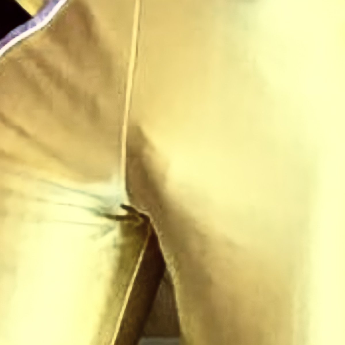 Better quality. 

#lycra #BulgeSpotting #bulgeaddicts