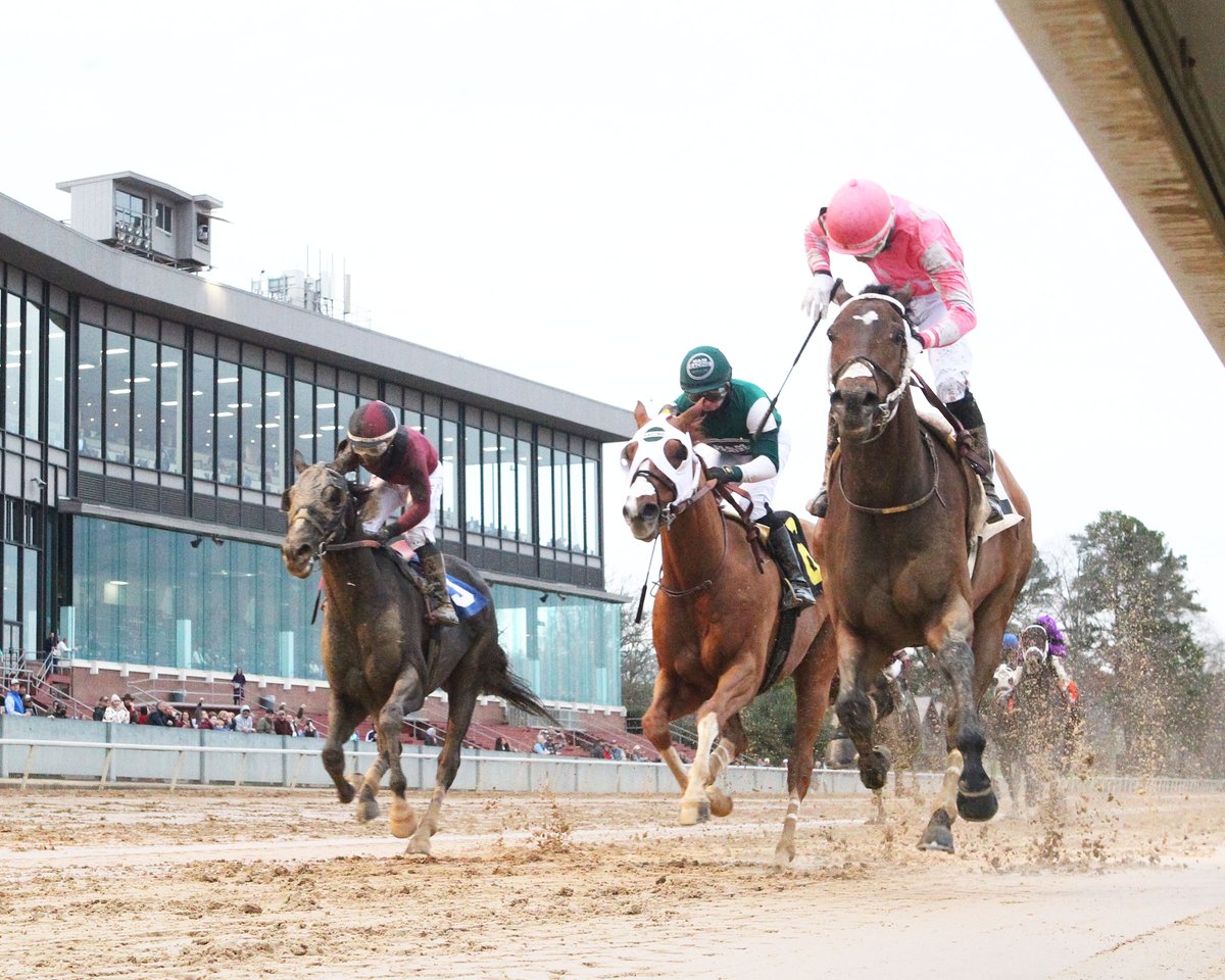 R.A. Hill Stable & Flying P Stable’s Lone Rock, one of the most consistent runners in 2021, improved his record to 7 wins from 9 starts this year with his victory in the $200K Tinsel Stakes. It was his 5th stakes win this year for trainer Robertino Diodoro ow.ly/E72R50HeRcE