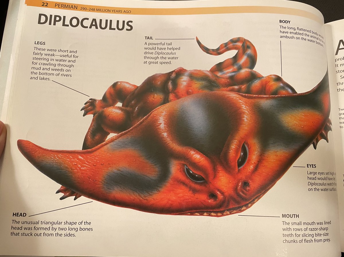 Trey_Explainer's tweet photo. Omg I found another one of my old dinosaur books. This one is really great. I love how they tried to make herbivores and pretty harmless animals  “scary”  
Also Demonic Diplocaulus! https://t.co/lF24eoOyTY