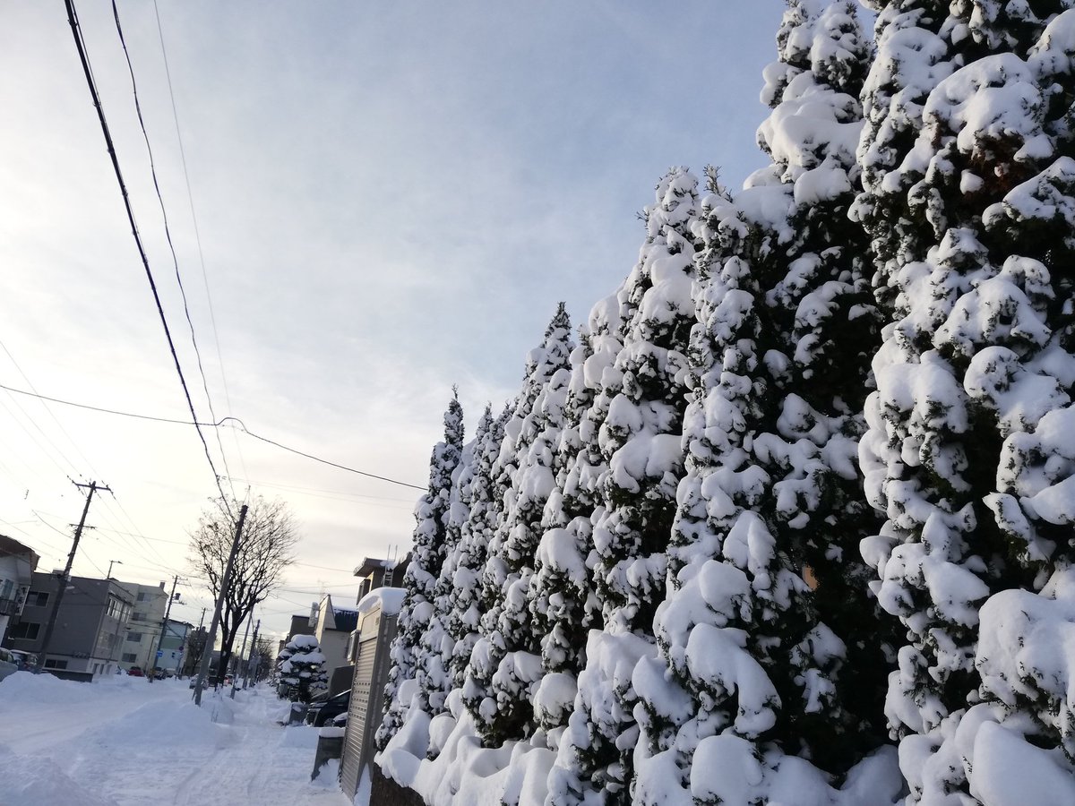 feelgoodcom's tweet image. おはようございます
すっかり雪景色❄️な #札幌の朝
です😆