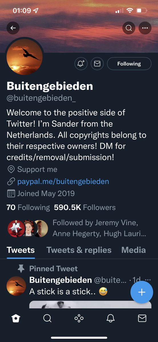 lhackett73's tweet photo. This is my absolute favourite account on twitter right now. Anyone not following @buitengebieden_  is missing out big time! Timeline cleanser right here 😄 https://t.co/o7dfiY14FM