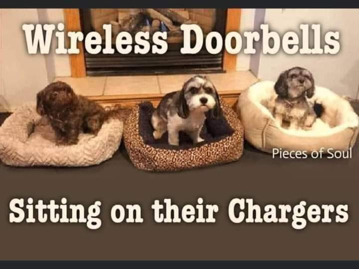 DuaneFarted's tweet photo. @Joe_Gatto https://t.co/N8DfClUvlP