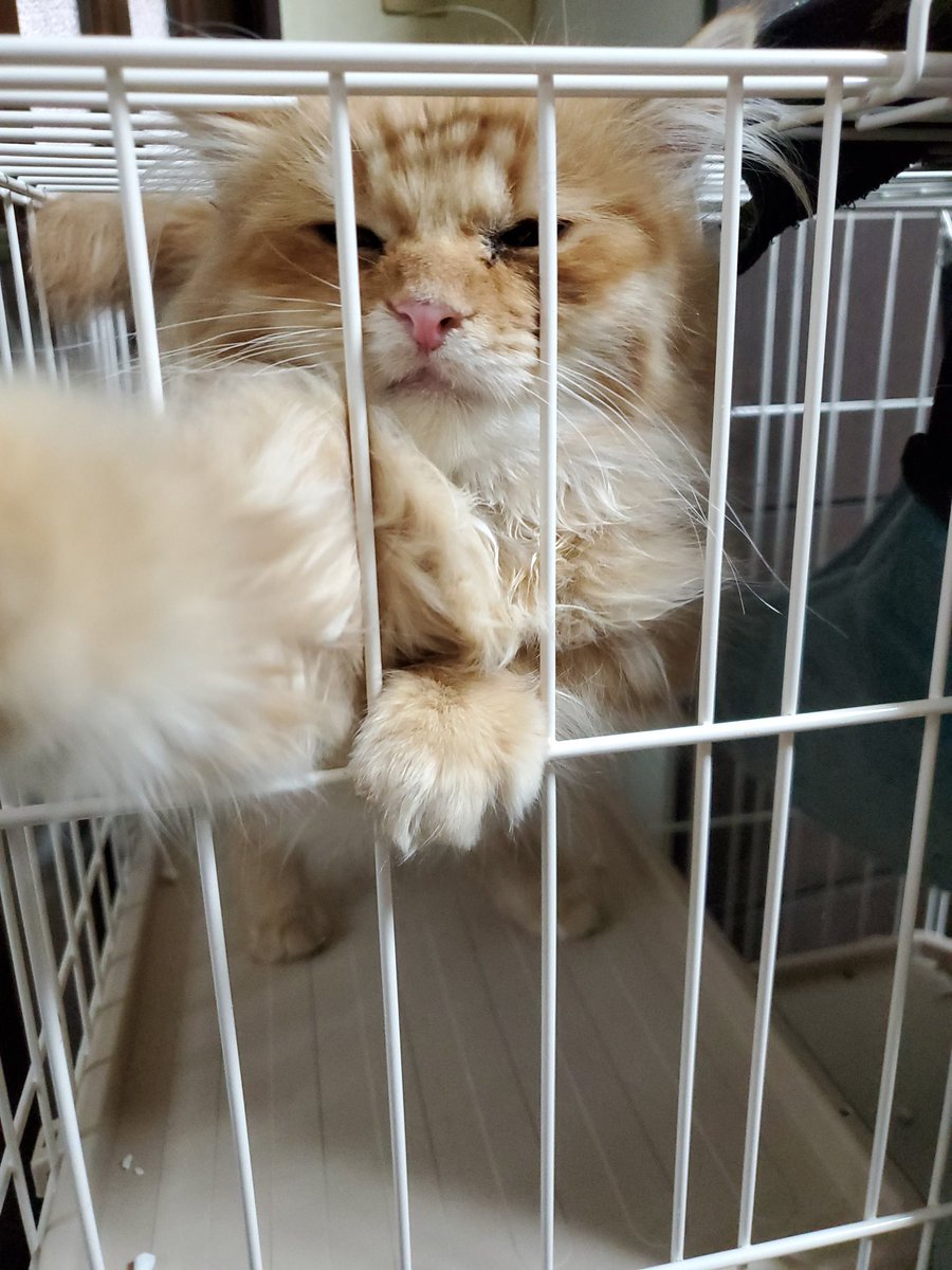 タムタム (@tamtam22d) / Posts / X