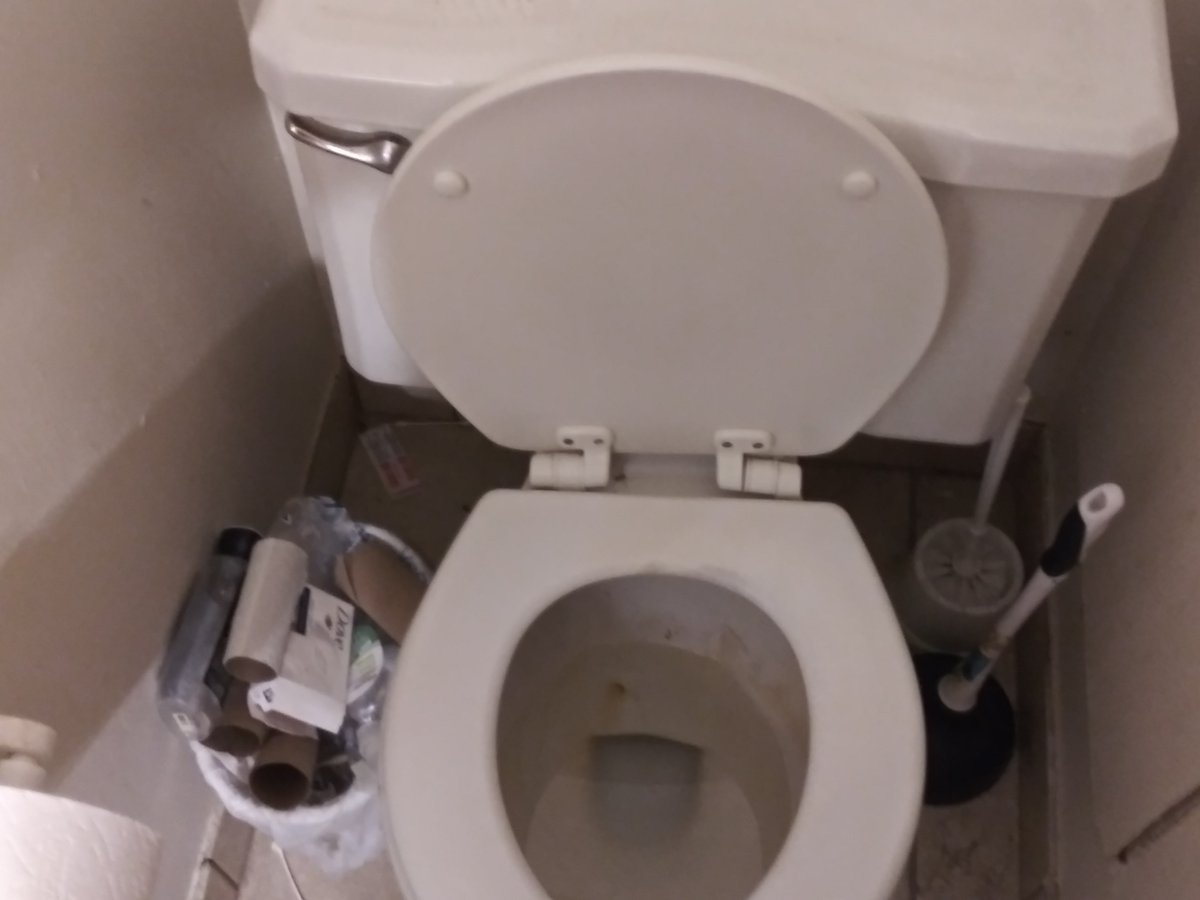 a_botfly's tweet photo. Oh no there is a huge ass spider on my toilet https://t.co/0v07vIAj1j