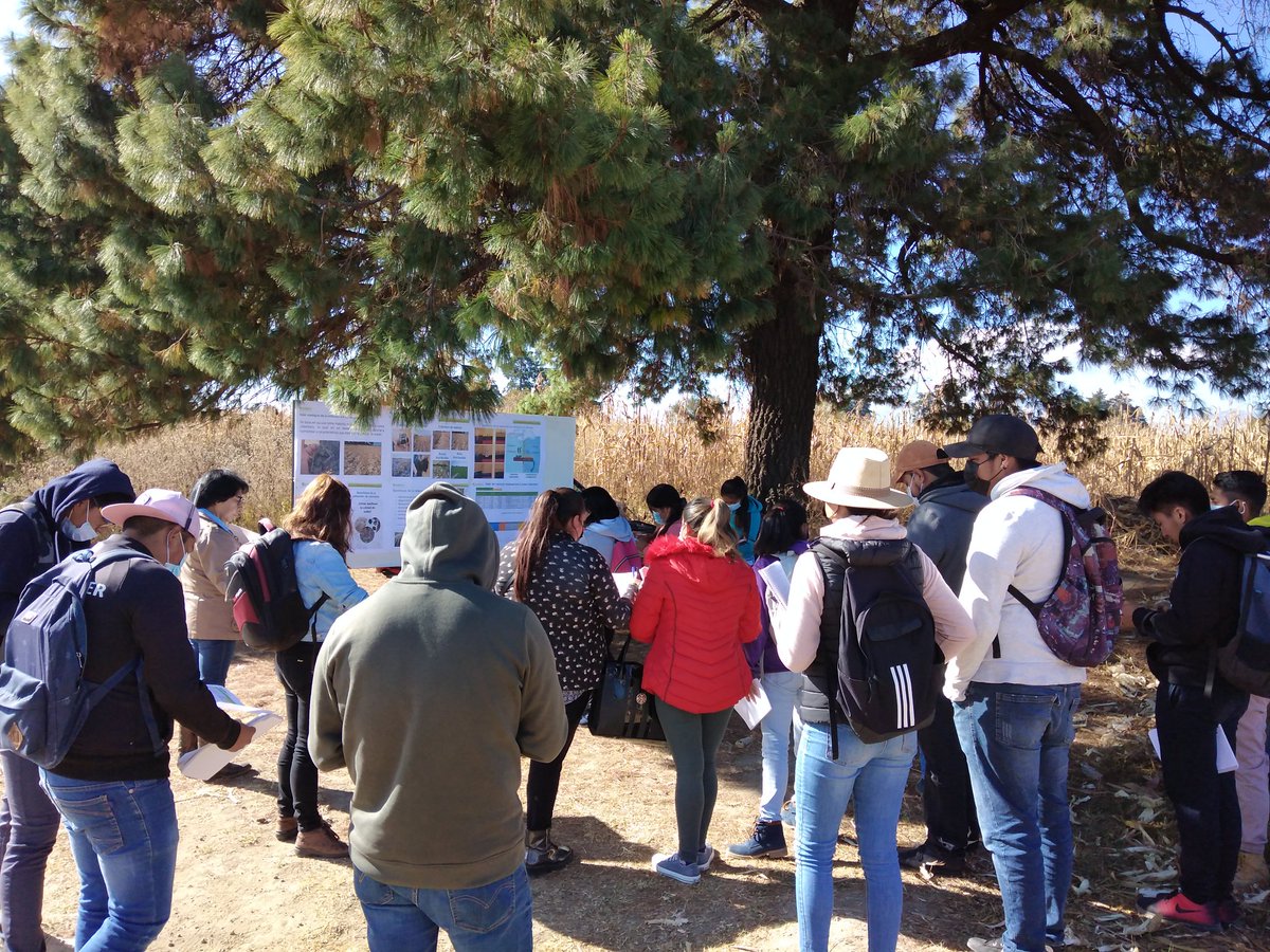 emilaux_'s tweet photo. #CultivosParaMéxico formando a estudiantes en AC con el evento de Manejo de Rastrojo como alternativa de incorporación de materia orgánica para la recuperación de suelos en la Universidad Benito Juárez García sede Chiautzingo Puebla @agricultura_mex @vmva1950 @bramaccimmyt https://t.co/3XCeopmtXe
