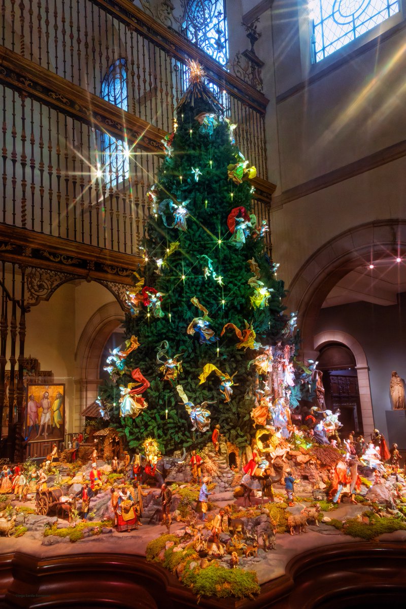 isardasorensen's tweet photo. Gorgeous #Christmas trees glistening all around #NYC now (pics: trees at Rockefeller Center, Metropolitan Museum of Art, Park Avenue, Wall Street) #HappyHolidays https://t.co/z6RasZ9xl8