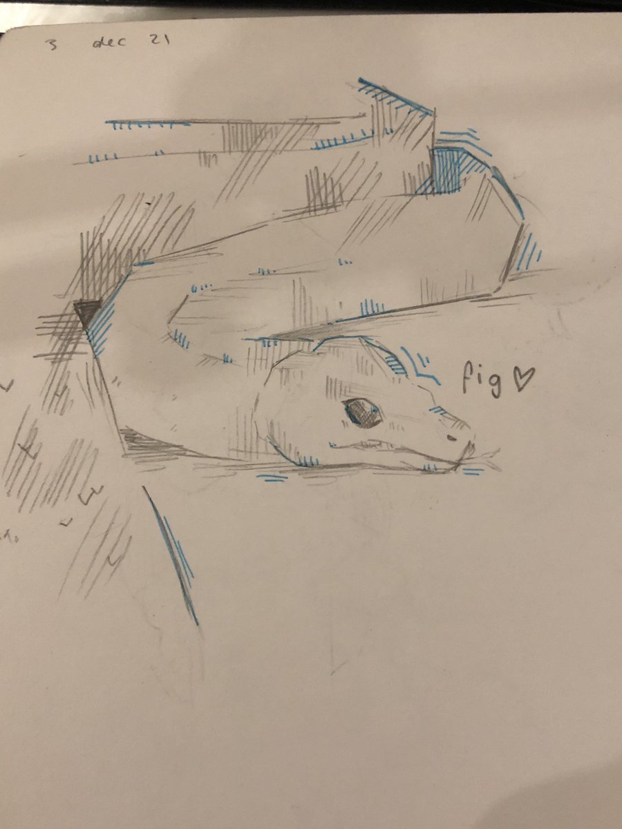 dinkyspace's tweet photo. teachers snake :] https://t.co/6th5hxkNwP