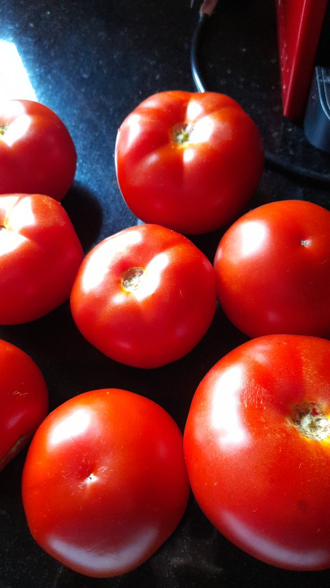 Hoy estaba con lari y me encontré en su mesada estos tomates perfectos, llegué a casa y me di cuenta que saqué la foto para el orto, igual siguen siendo perfectos