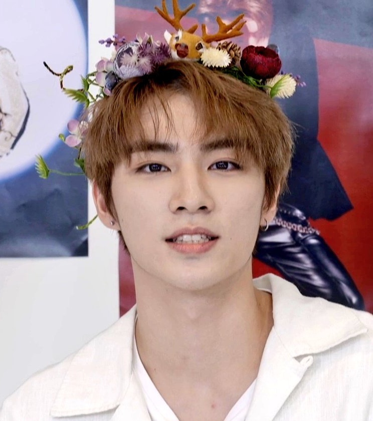 xiaojun in flower crowns 🌸