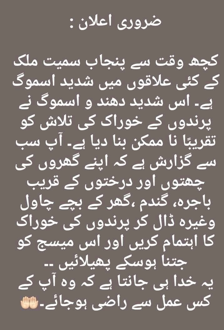 Sanaaaa_Says's tweet image. #SundayActivity