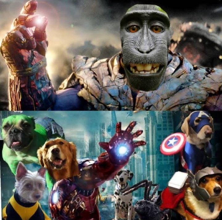 salilkamble10's tweet photo. DOGEVENGERS 
#MonkeyVsDoge https://t.co/PHD0W8iIQy