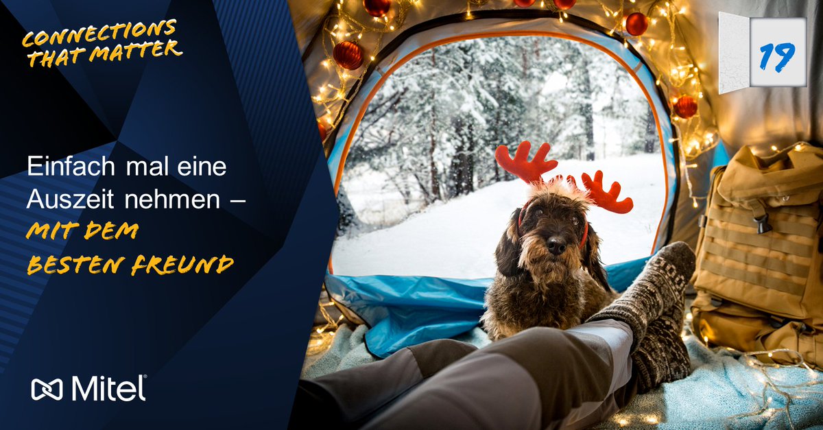 Mitel_DACH's tweet photo. [@Mitel #Adventskalender] Tür #19: Unser Tipp für das #Wochenende - einfach den "#Best #Buddy" schnappen und die gemeinsame #Zeit genießen! #Mitel #Adventskalender #ConnectionsThatMatter https://t.co/fDw4dE5SRy