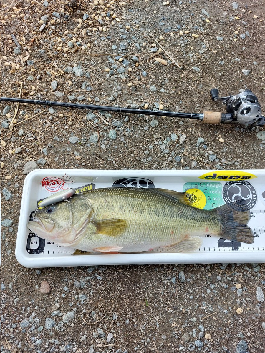 hidetakasan50up's tweet photo. よっしゃー✨
#STARGEAR
#CATFLY
#筑後クリーク
#柳川クリーク https://t.co/l5O4bESJrT