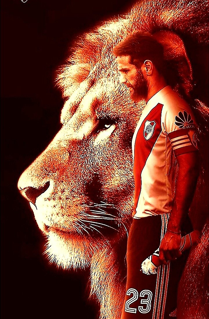 Lulusustancia's tweet photo. Te Amo Capitán !! GRACIAS POR TANTO  #PONZIO  🐔❤ https://t.co/JzqBaAuB8T
