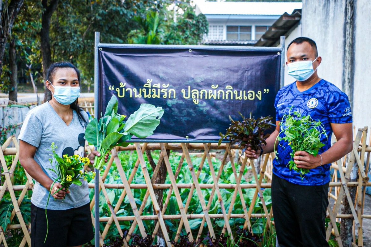 why_thahan's tweet photo. 🥒บ้านนี้มีรัก...ปลูกผักกินเอง🥦

🪖ร.8 พัน.1 ดำเนินโครงการ บ้านนี้มีรักปลูกผักกินเอง ในพื้นที่บ้านพักของหน่วยเพื่อน���ผลผลิตที่ได้ไว้สำหรับประกอบอาหารในครัวเรือน

#ทหารมีไว้ทำไม https://t.co/B8NxXbJ5hT