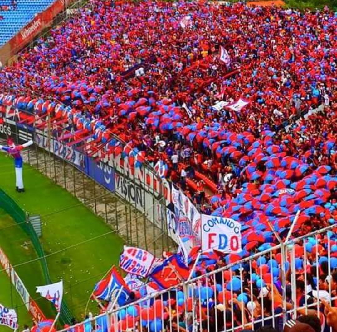 Danymacica's tweet photo. Ayer, hoy y SIEMPRE!!!
#CerroPorteño
"es llevar en el corazón un sentimiento que se siente desde niño, es sentir al equipo en la sangre, vivir por él, es al único al que se es fiel y que dura para toda la vida”
19/12 FELIZ DIA DEL HINCHA DE CERRO PORTEÑO 
💪🏻🔵🔴🇵🇾👏🏻���🏻👏🏻 https://t.co/DOzRTpWW51