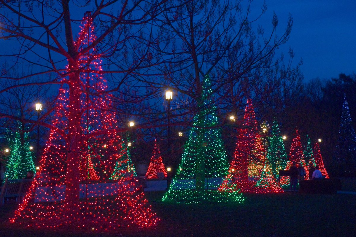 chanfan1's tweet photo. @jillwoodward410 Merry Christmas from Delaware!๐๐
๐ฝ
#TheFirstState https://t.co/jITKRZSnK7