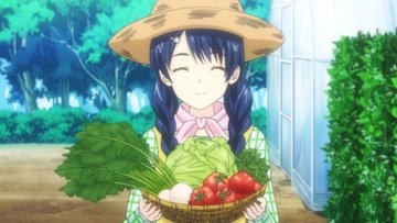Shokugeki No Soma Portal
