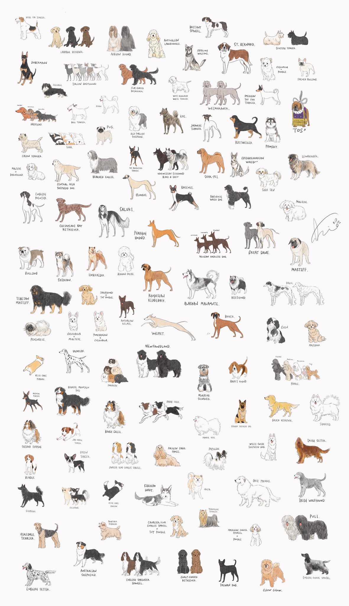 Sakio Xmas フォロワー5万人記念プレゼント企画 抽選で5名様に おうちの愛犬 Or 愛猫をユル犬 猫 イラストにしてプレゼント お渡ししたイラストデータは個人利用であれば自由にグッズ化可能 参加条件 このアカウントをフォロー Rt
