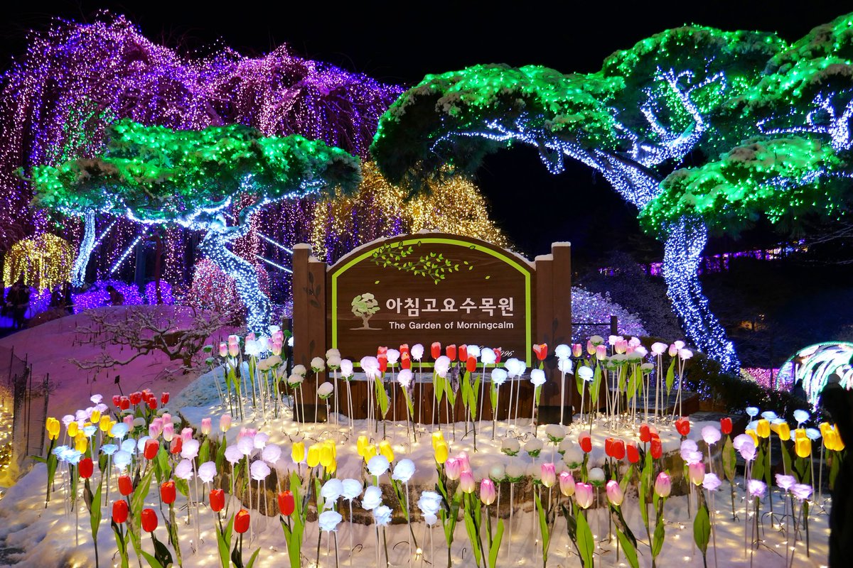 ChrisAstro's tweet photo. Beautiful snow covered holiday lights at the Garden of Morning Calm! π°π·πβοΈ #SouthKorea #exploreROK #Korea #travel #exploreKorea #travel #GardenofMorningCalm #snow #Christmas #holiday #fall #fallseason #autumn
https://t.co/4iLn5T55tB https://t.co/vxBErlAcWN