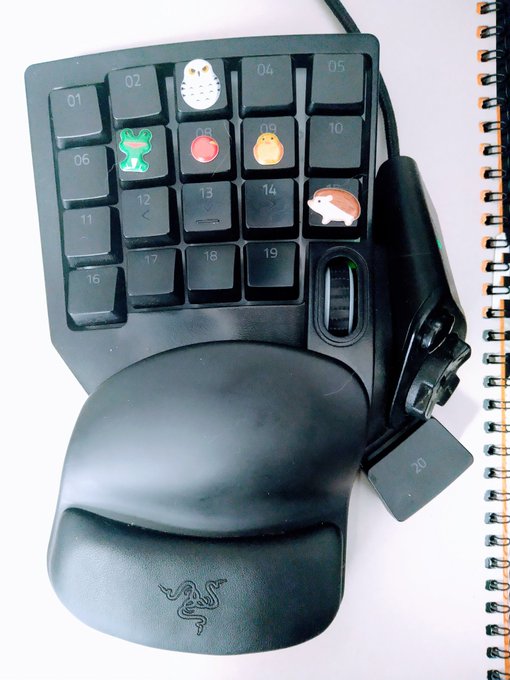 メッセで左手デバイス何使ってるか聞かれたので
レイザーのこれ使ってます 