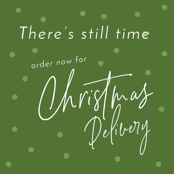 There's Still time! All Bags Ready to Ship! - mailchi.mp/hollyaiken/sti…