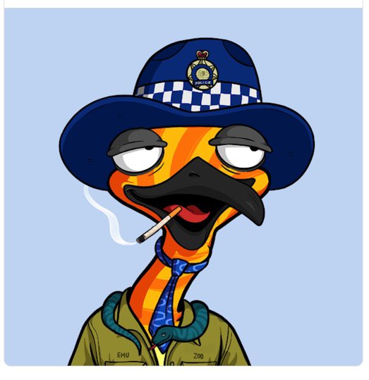Calm_Aladdin's tweet photo. The #BushChooks are loose. @DropBearsio https://t.co/C0L8wyeOTp
