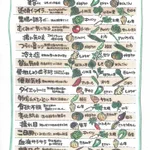 知ってて損はない野菜の効果!体の状態に合わせて選んでいこう!