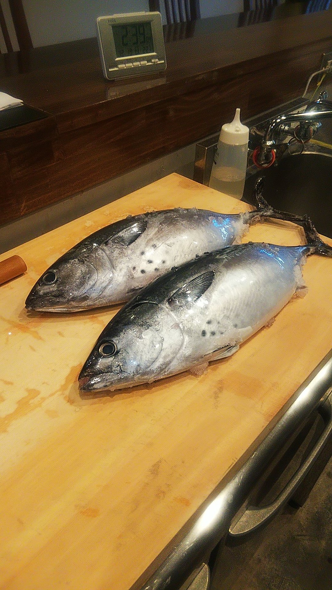 南柏 やまだ 昨日来るはずであった星鰹 明日 店休みなんだよな 今日はける わけないよな 辛い T Co 1omvujck9h Twitter 南柏 やまだ 昨日来るはずであった星鰹 明日 店休みなんだよな 今日はける わけないよな 辛い T Co 1omvujck9h Twitter
