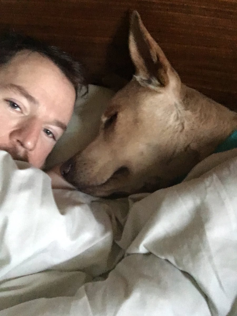 kess949's tweet photo. @DamagedBttm Mine thinks he’s people… I don’t have the heart to tell him otherwise. https://t.co/vdgeu1NpYk
