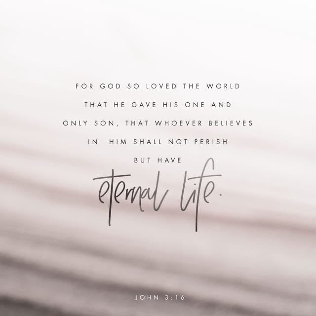 noxbloom's tweet photo. I am grateful l for the unconditional love โค๏ธ of God expressed through Jesus, His one and only Son.
I am loved
We are loved
Let love reign
How will you respond to the outpouring of His love everyday?
#LoveHimBack https://t.co/yLmiISwXRM https://t.co/nop97IDNO9