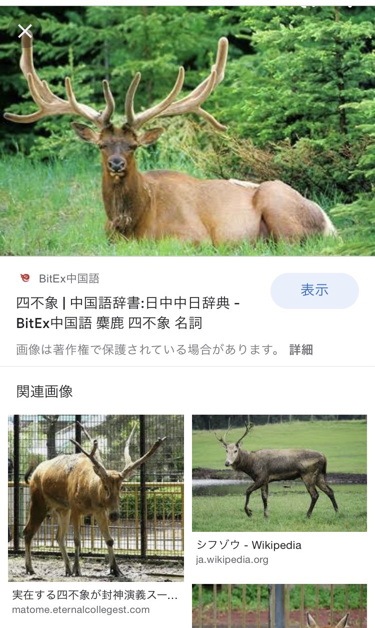 松吉 フジリュー版封神演義を通ったオタク 本来四不象はシュッとした鹿のような姿なのに モチッとしたカバっぽい 多分あれはバク ものを四不象だと思い込んでしまう習性があるんだ 許せサスケ T Co Qnmstpuuv6 Twitter