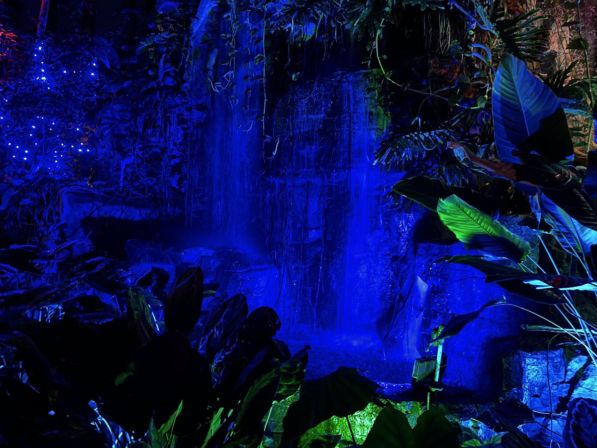 A magical evening of strolling through the winter nights winter lights display at the <a href="/QCBotanical/">QC Botanical Center</a> Highly recommend!