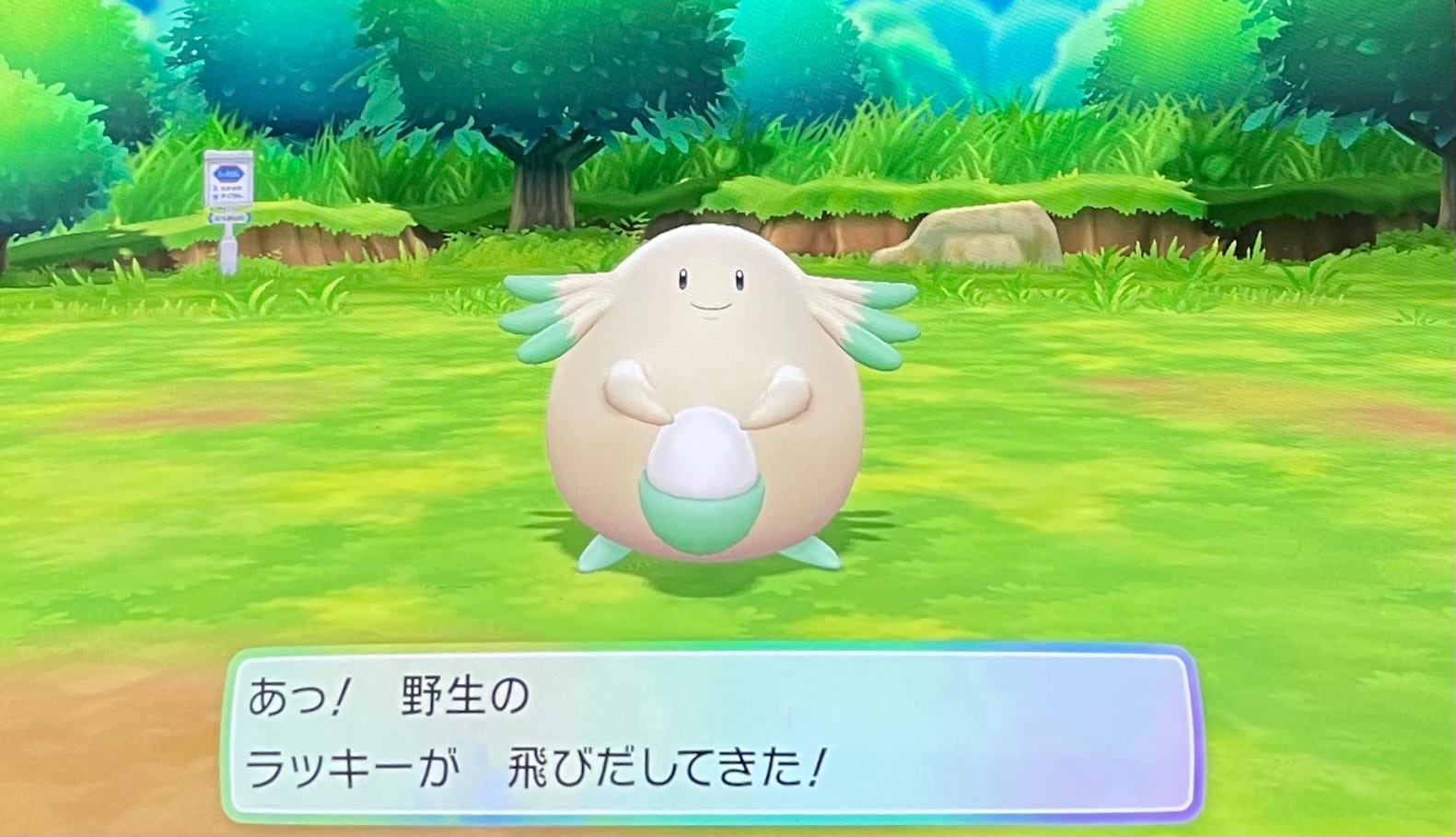 小狐 Sinnyakiriya 確かにゼニガメとか出現率低いポケモンで失敗しちゃうと辞めたくなりますよね 私もそれが怖いから出現率高いポケモンしかやってないです 笑 あとピカブイだとちゃんと画面見てないと見逃しちゃうかもって不安になりますけど剣盾だと