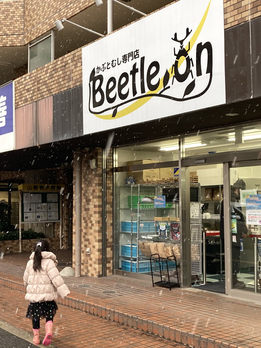 U9exOurA8qbaQwf's tweet photo. 仙台ビートロンでたくさん用品買った☺️
20パーオフだった☺️
#Beetleon https://t.co/uL60ctfnPI