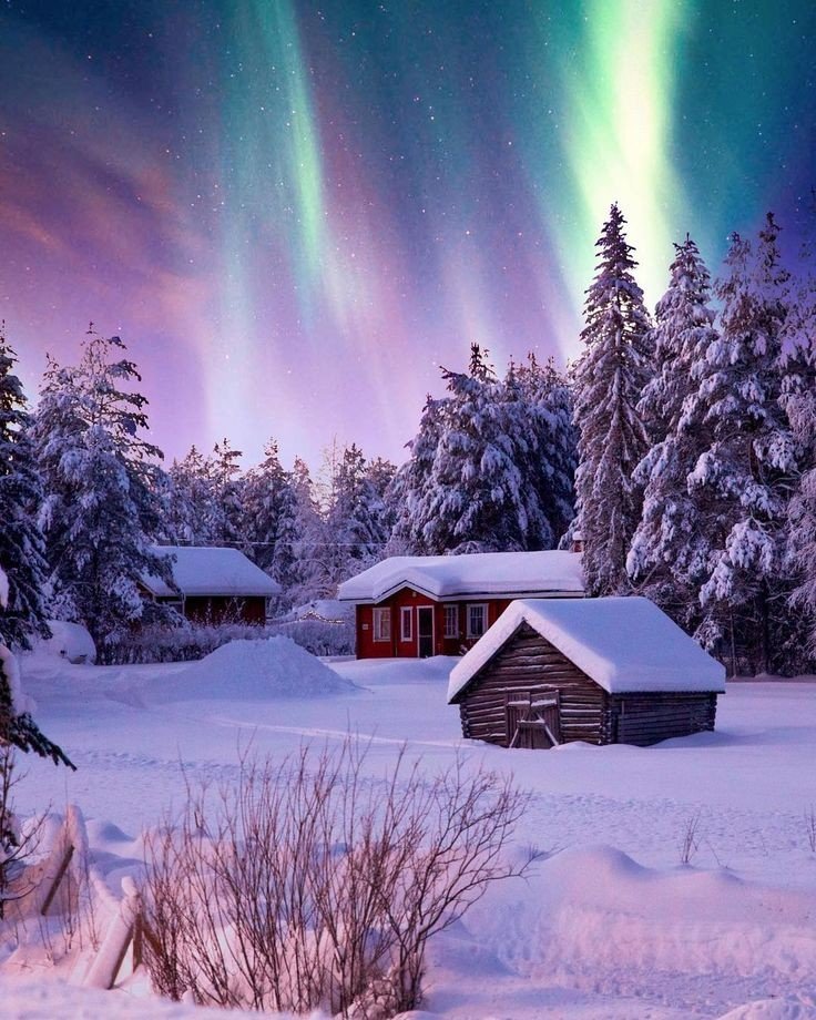 Good morning, happy sunday for all, enjoy a wonderful day dear friends ☕⛄💚💜🤗