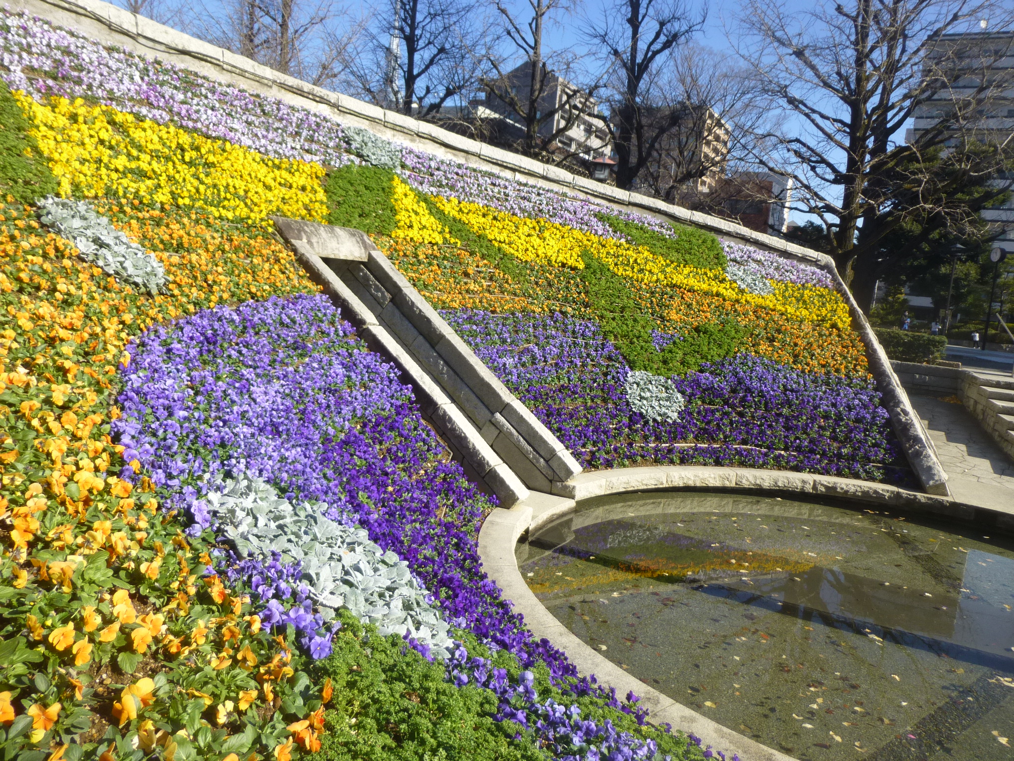 都立横網町公園 公式 Pa Twitter 都立横網町公園 花壇 東京大空襲 都立横網町公園内の 東京空襲犠牲者を追悼し平和を祈念する碑 の花壇が見頃になりました 渋谷区立富谷小学校生徒さんによるオリーブと虹を組合せたデザインで タイトル 虹色の未来