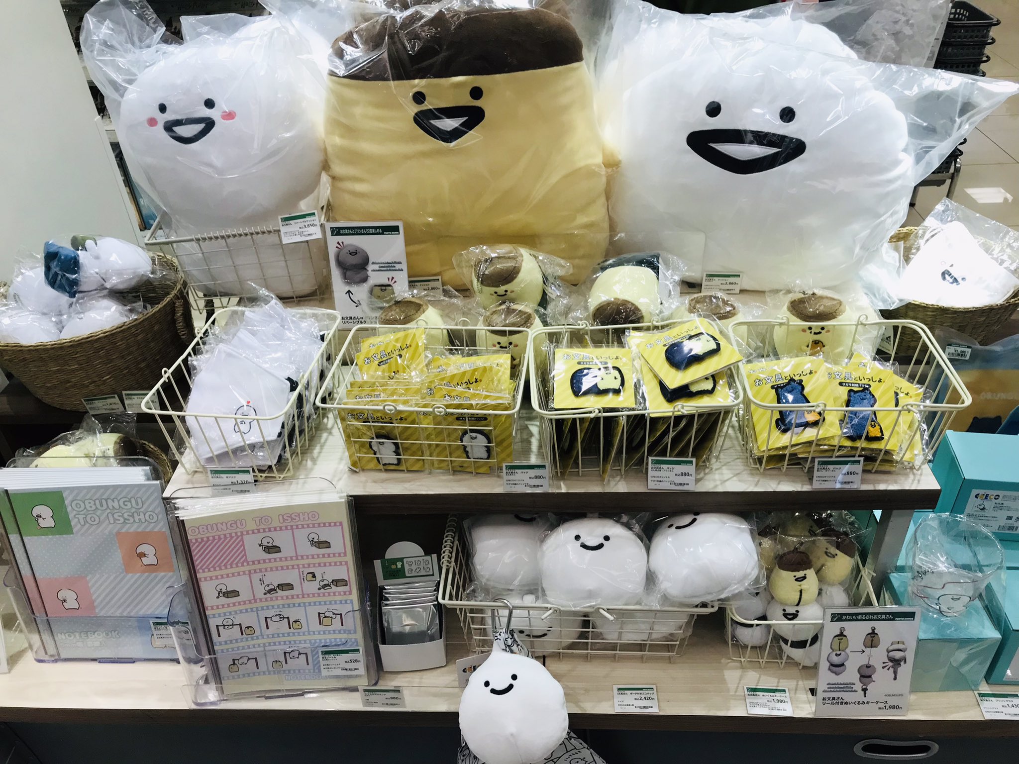 ハンズ博多店 على X: 