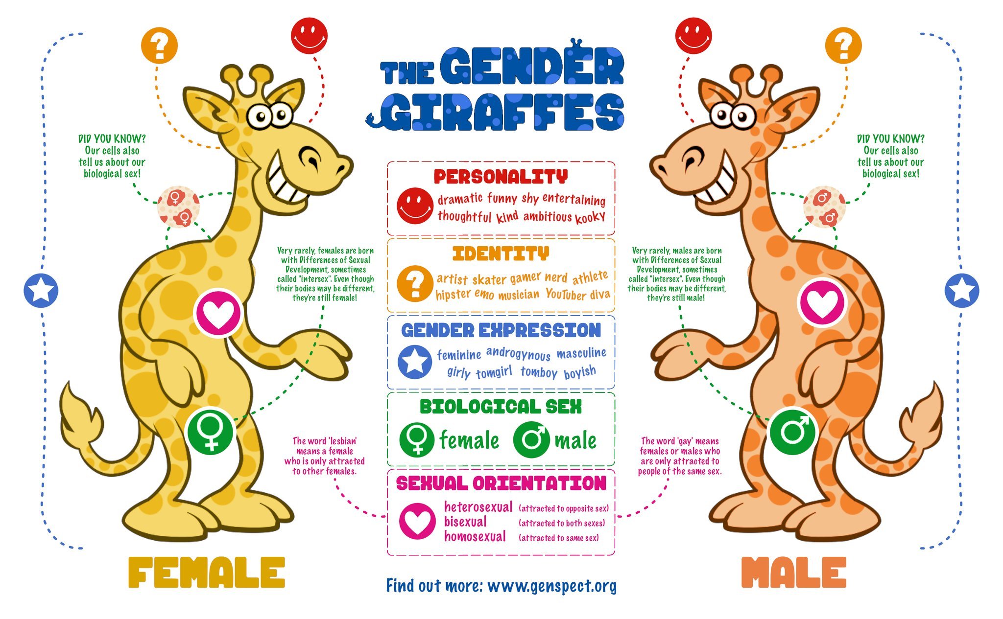 Genspect on Twitter: "We designed the Giraffe especially for teachers who are mandated to teach about 'sex and gender'. We're very pleased that educators are already using this fact-based resource and