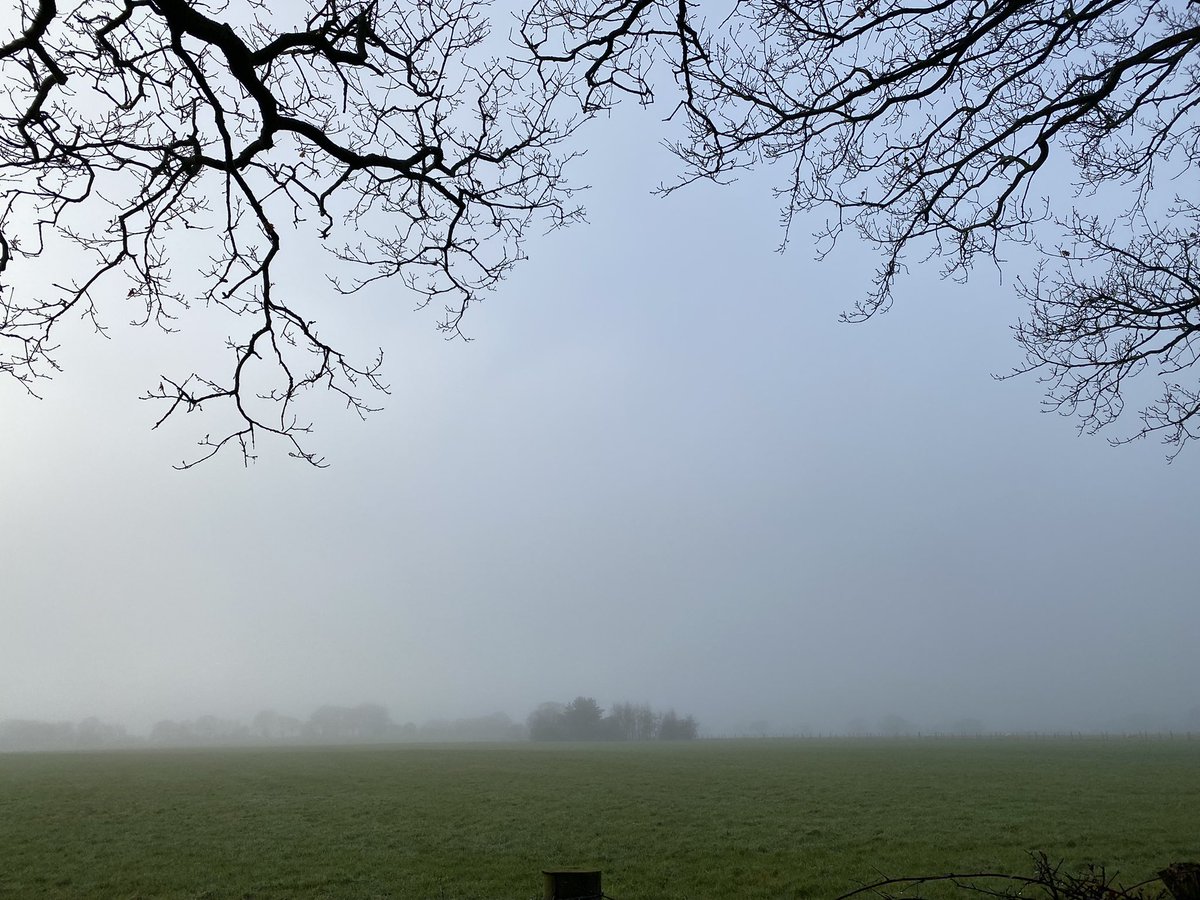 _RG_Photography's tweet photo. “The fog, mysteriously encasing us away from the wonders of the world, yet providing us its own beauty…”

#fog #nature #wonders #beauty #wildlife #outdoors #photography

~RG https://t.co/5rhyt4fhvN