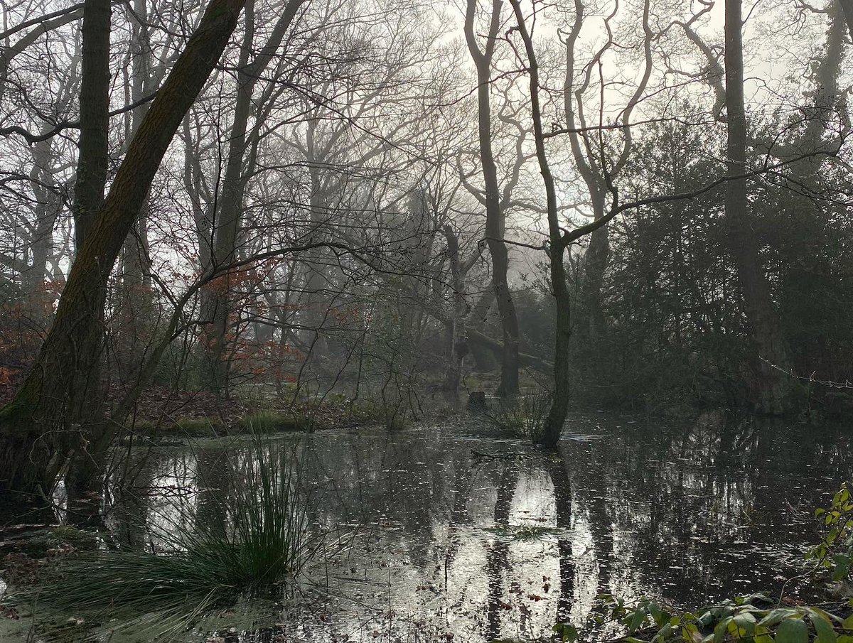 _RG_Photography's tweet photo. “The fog, mysteriously encasing us away from the wonders of the world, yet providing us its own beauty…”

#fog #nature #wonders #beauty #wildlife #outdoors #photography

~RG https://t.co/5rhyt4fhvN