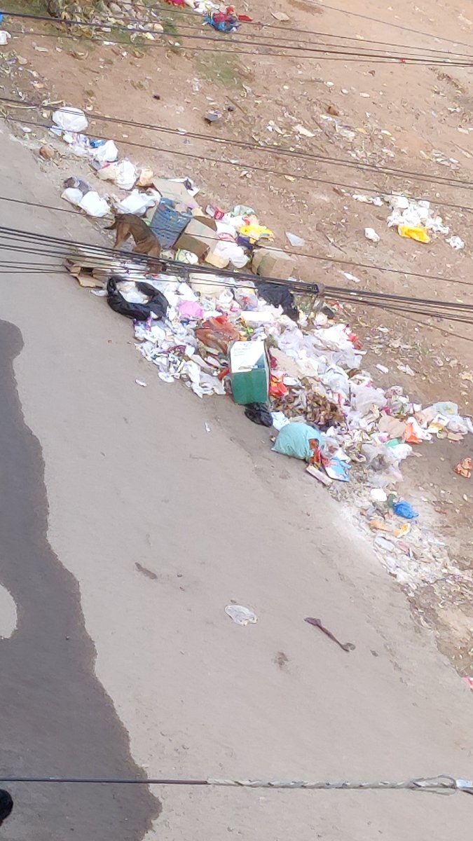 Nitish143__'s tweet photo. @DC_LBNagar @GHMCOnline @DC_Hayathnagar @AMOHC3 Dear All,

Awaiting your response. Situation is worse now https://t.co/0Gb2wuSSit
